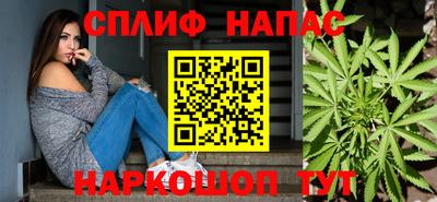 прущие грибы Будённовск