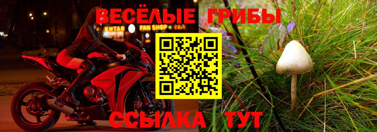 Псилоцибиновые грибы Cubensis Павловский Посад